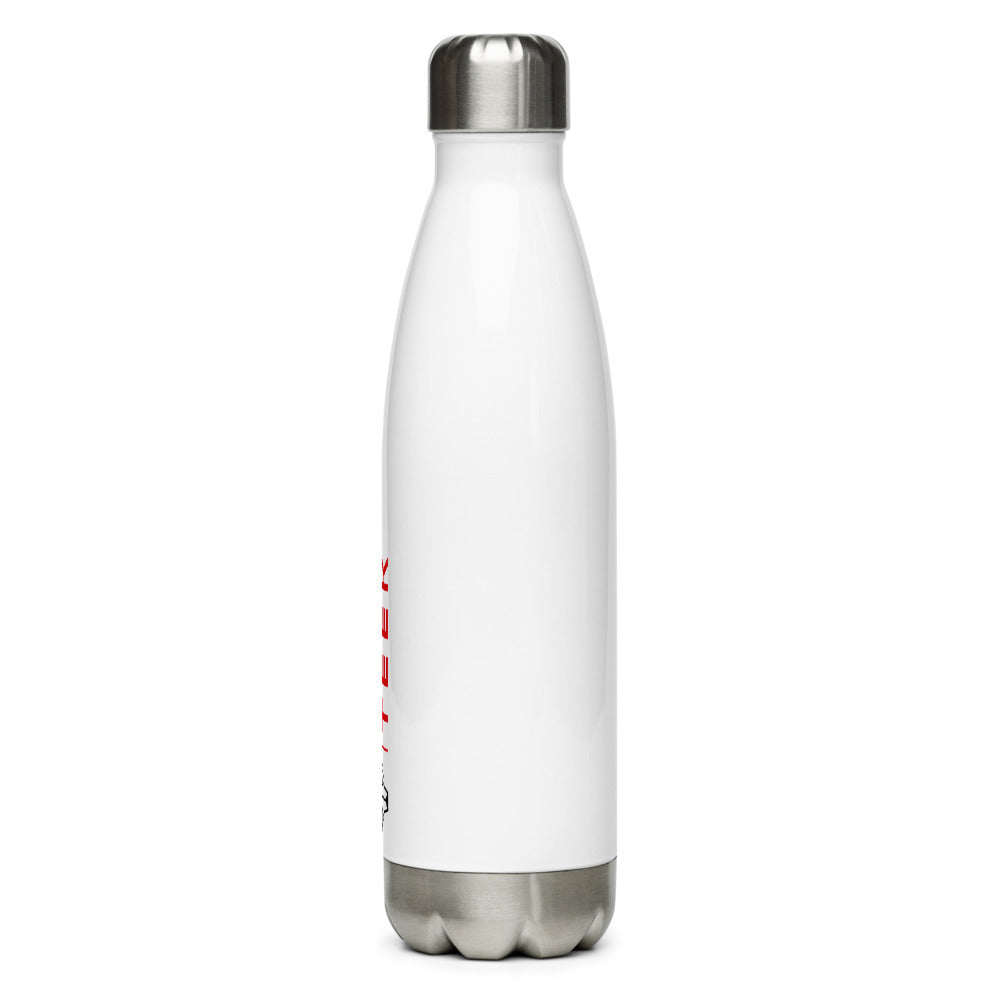 Stainless Steel Water Bottle