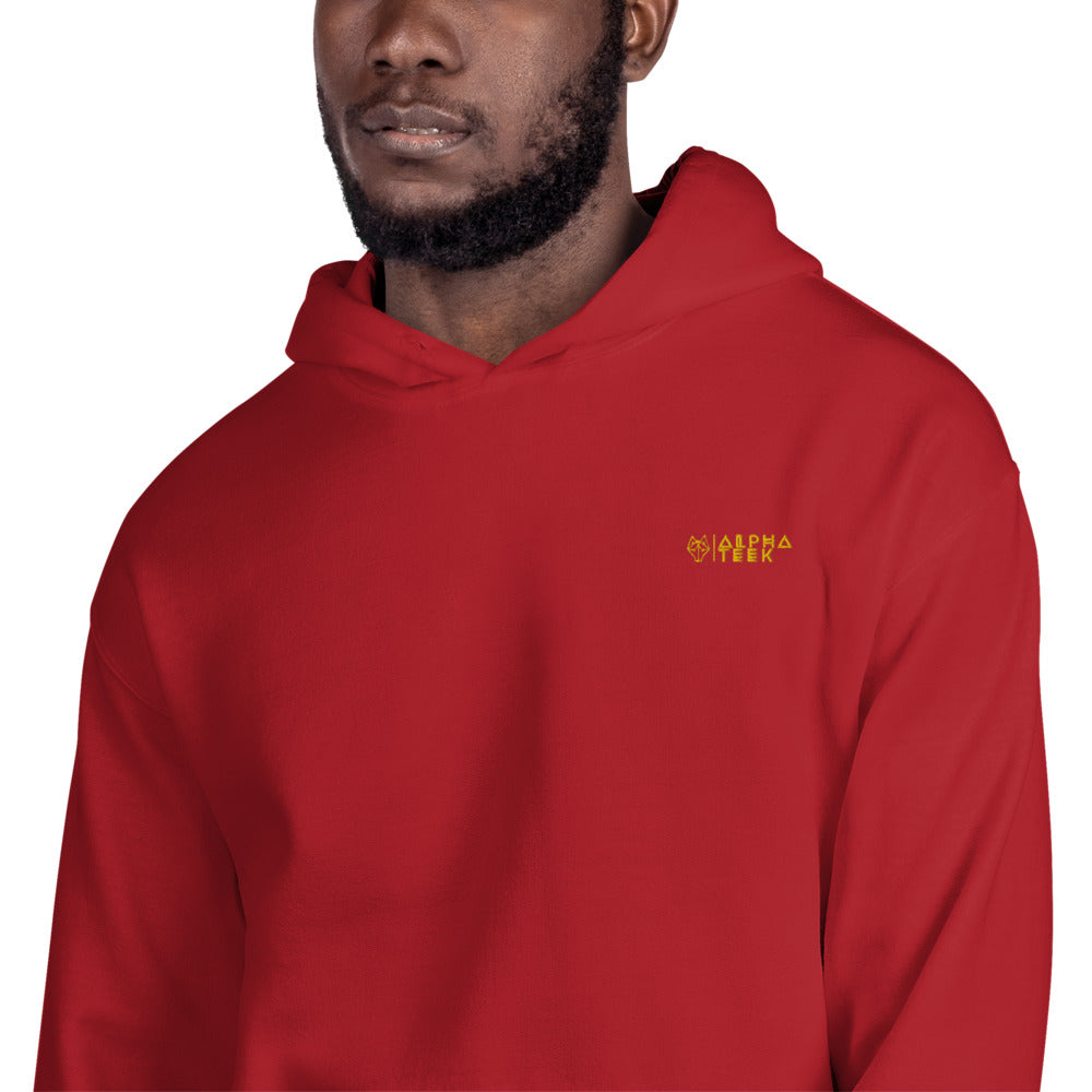 Alpha Minimalist Hooded Sweatshirt for Men