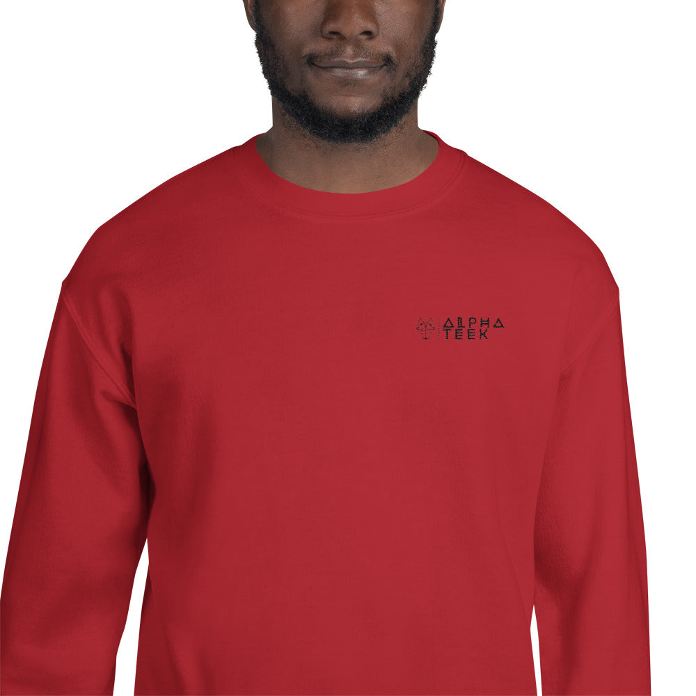 Alpha Sweatshirt for Men